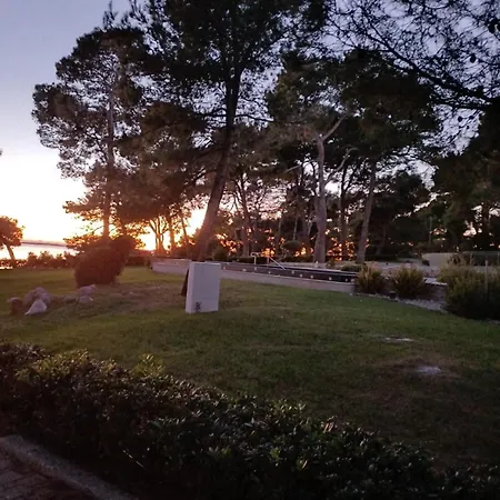 Marica Suha Punta *
